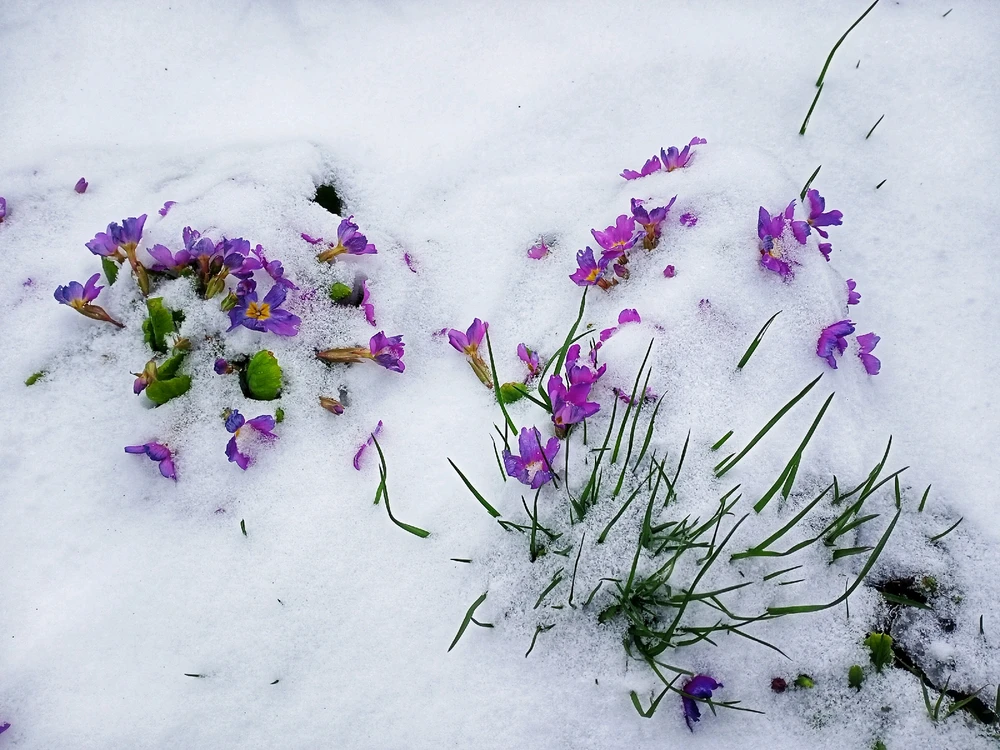 Image uploaded by Black Mirror (◔‿◔)