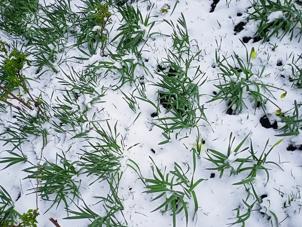 Image uploaded by Black Mirror (◔‿◔)