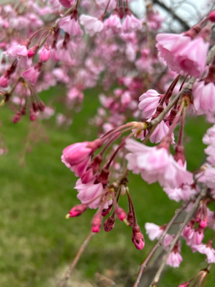 GIF uploaded by Lilia