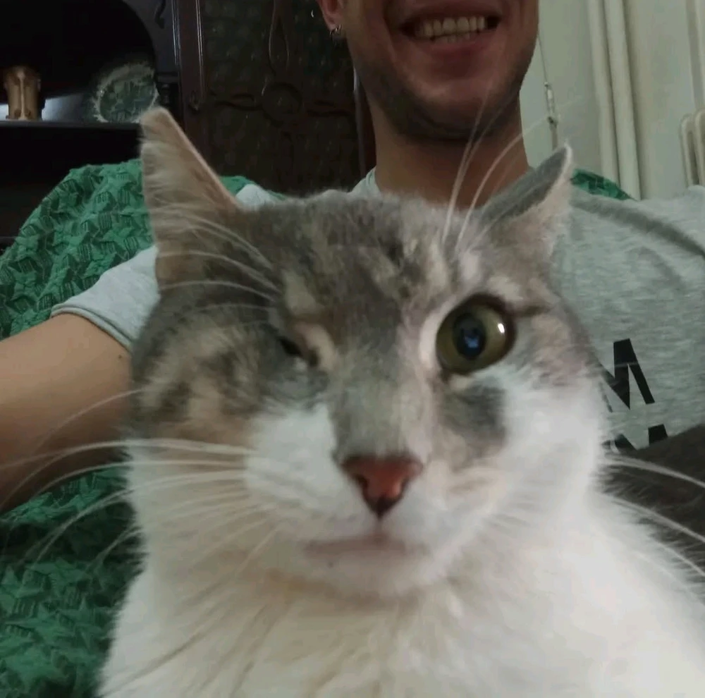 GIF ανέβηκε από Stelios