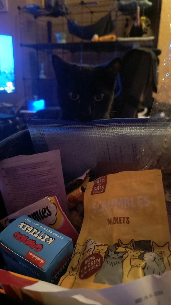 GIF uploaded by Jodie