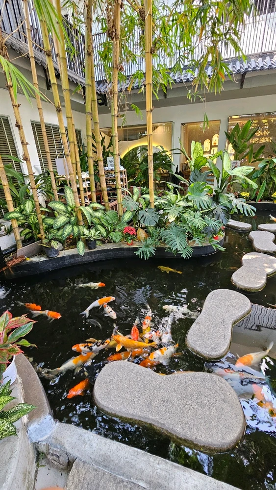 GIF được Chris Tai tải lên