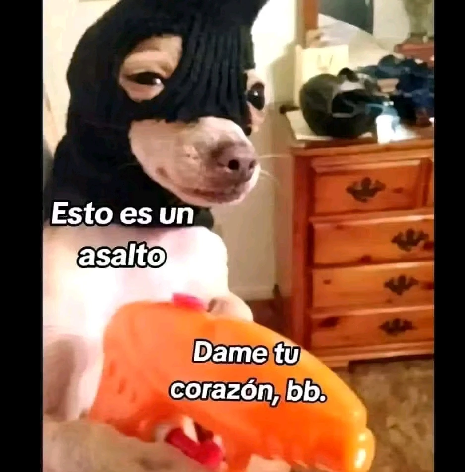 GIF ngarkuar nga Mauwi