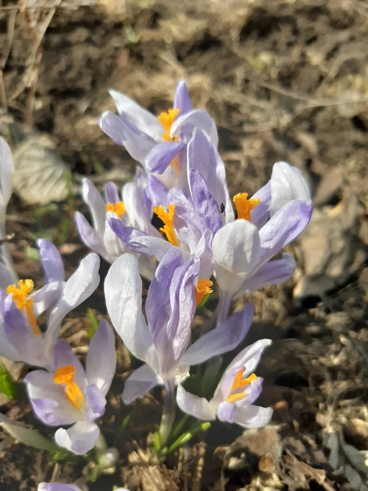 Фото загрузил Наталья / Natalia
