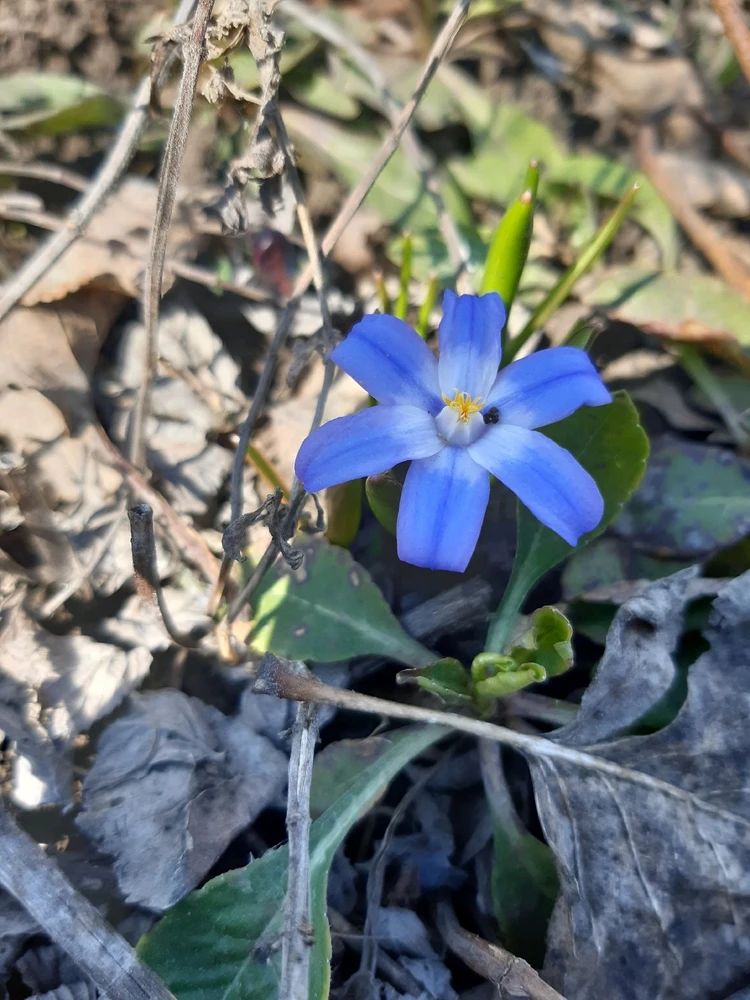 Фото загрузил Наталья / Natalia