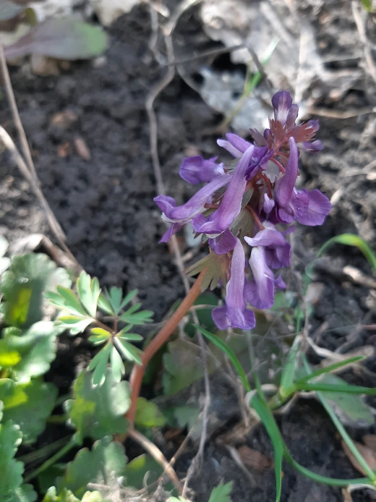 Фото загрузил Наталья / Natalia