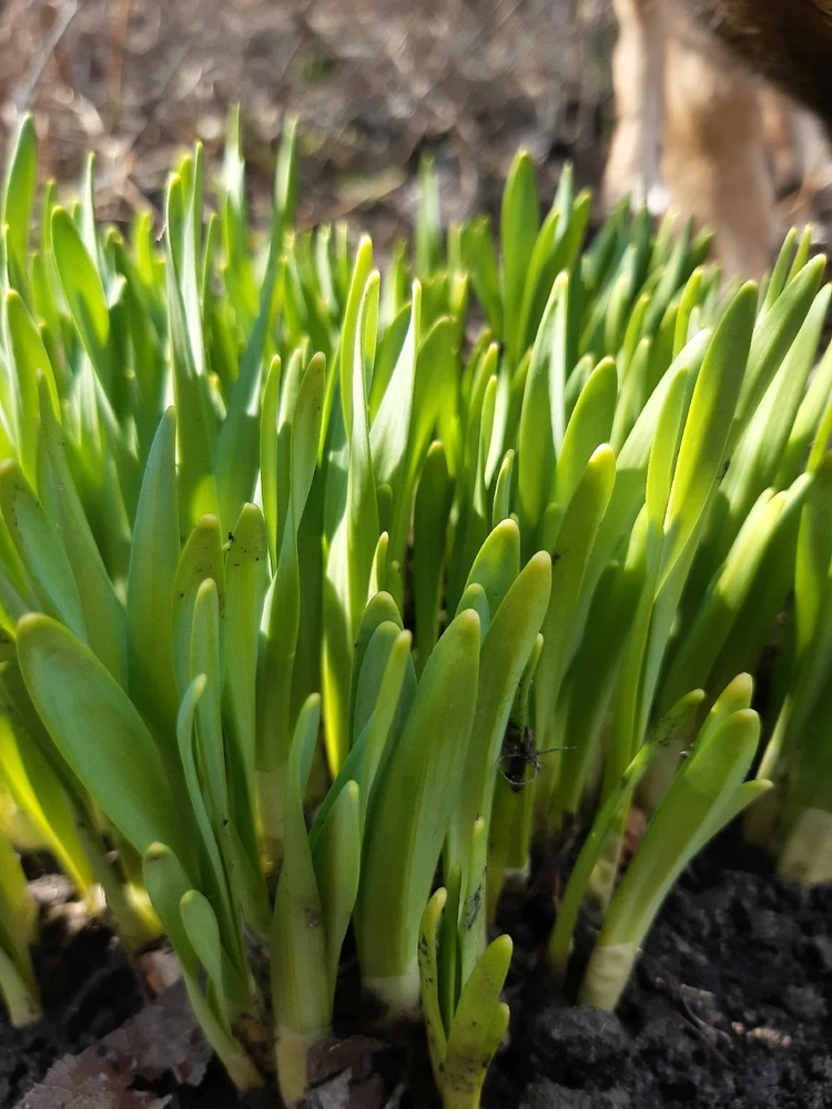 Фото загрузил Наталья / Natalia