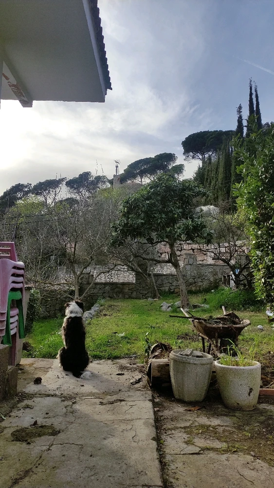 GIF subido por Aaron