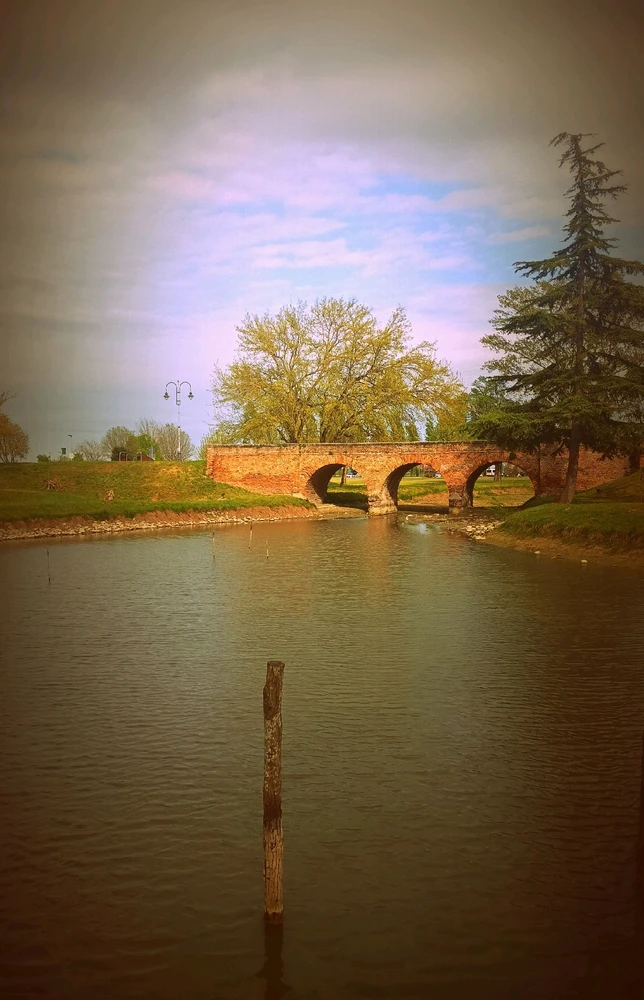 Immagine caricata da Giulio