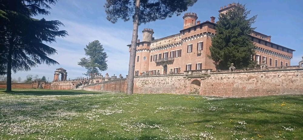 Image uploaded by Ray