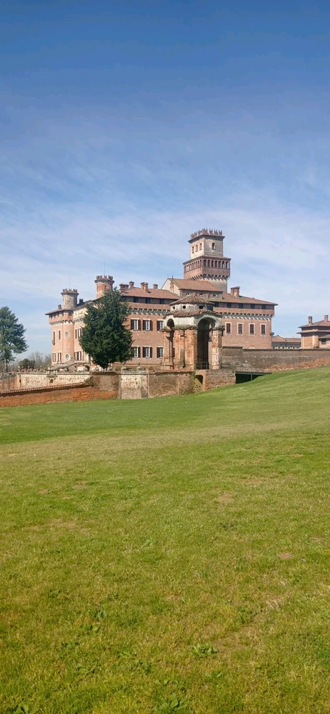 Image uploaded by Ray