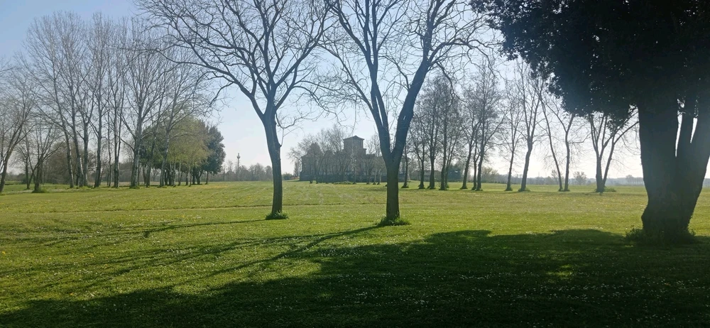 Image uploaded by Ray