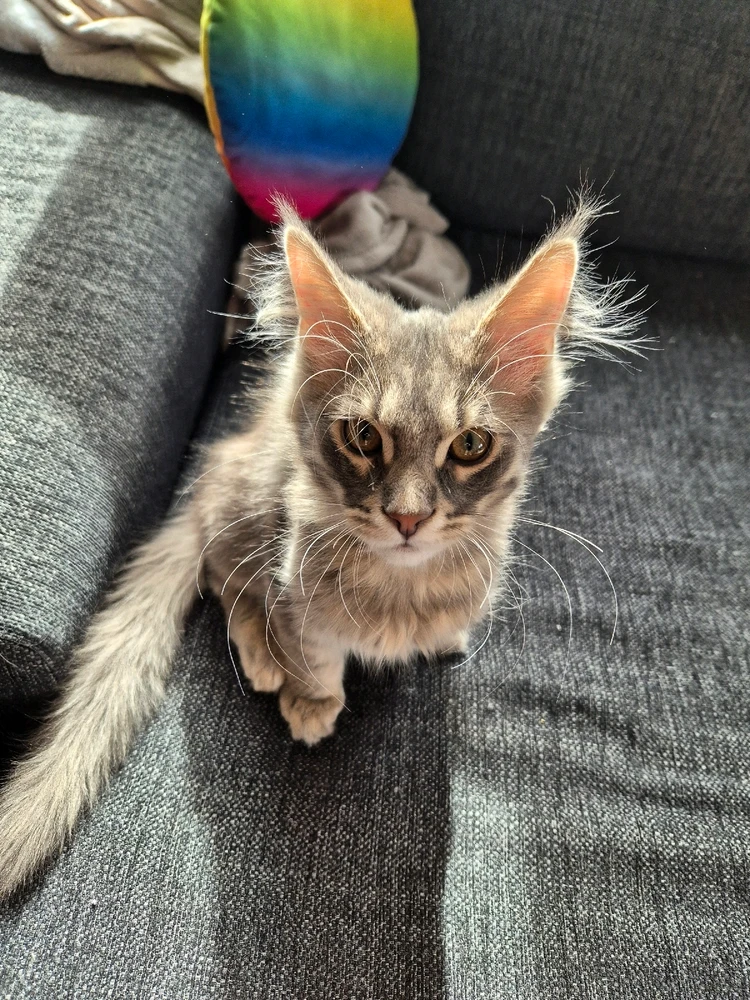 Bild uppladdad av Emma