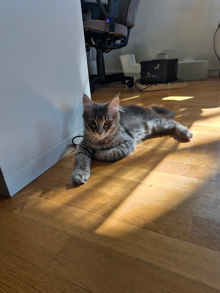 Bild uppladdad av Emma