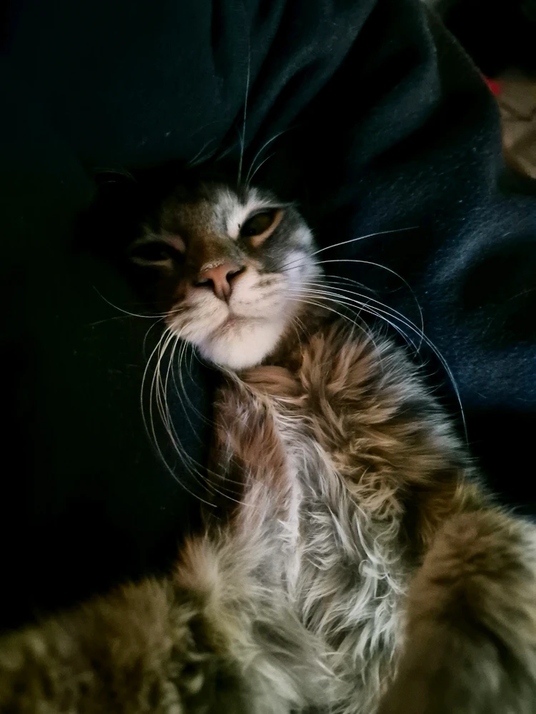 Bild uppladdad av Emma