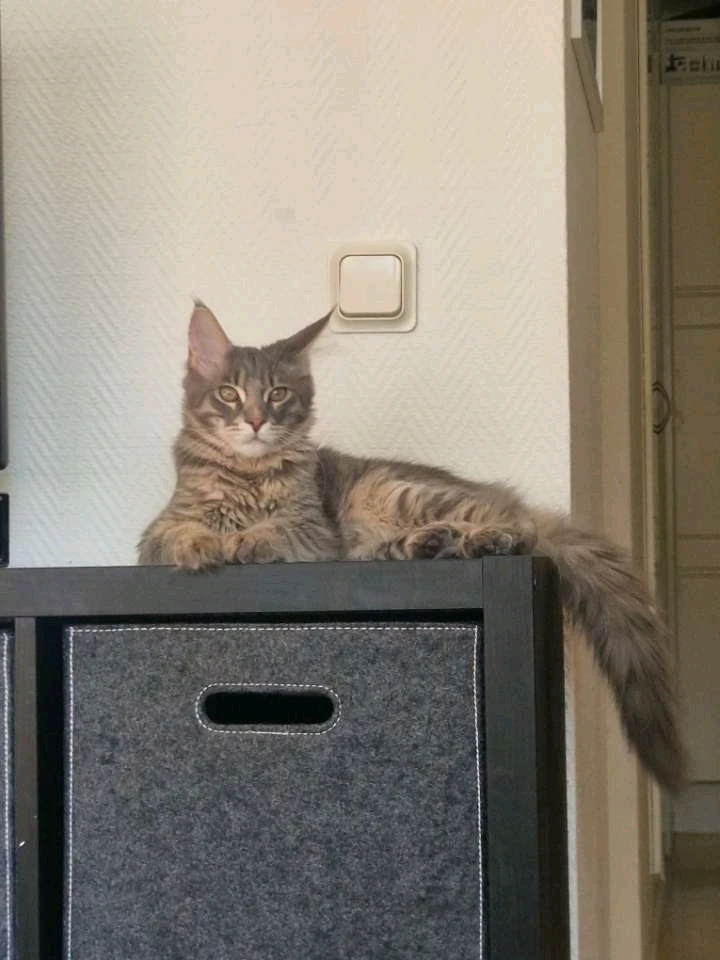 Bild uppladdad av Emma