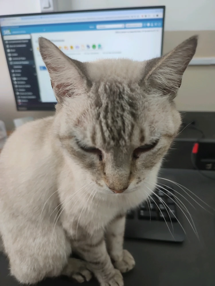 GIF enviado por Everton