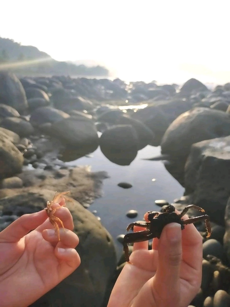 GIF diunggah oleh Rut