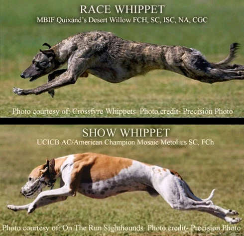 Obrázek nahrál Vojtěch