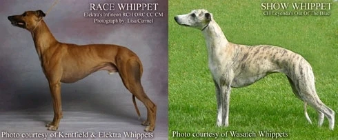 Obrázek nahrál Vojtěch