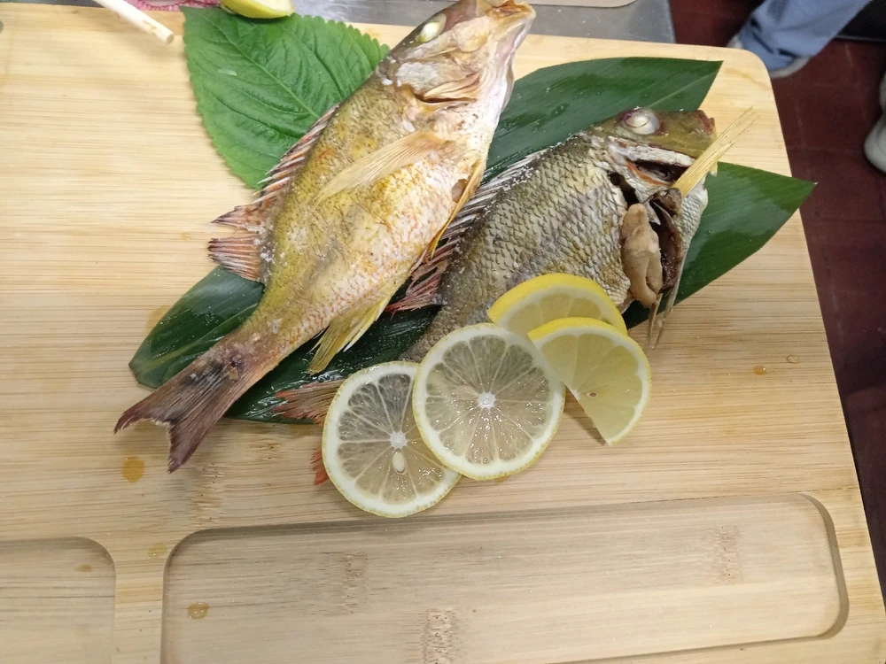 由不正常人類研究所所長上传的图片