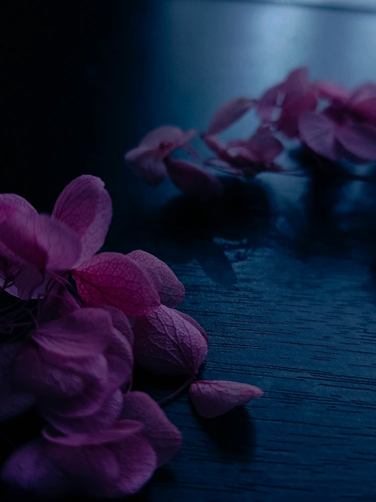 🌸🍒CherrySoju🌸님이 올린 사진