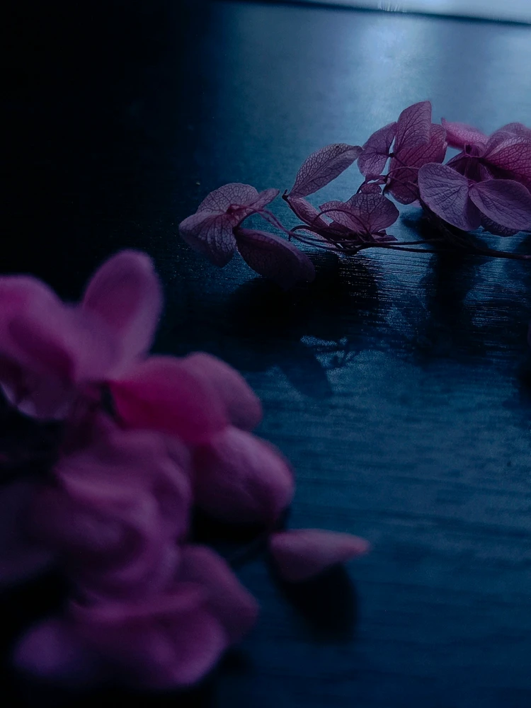 🌸🍒CherrySoju🌸님이 올린 사진