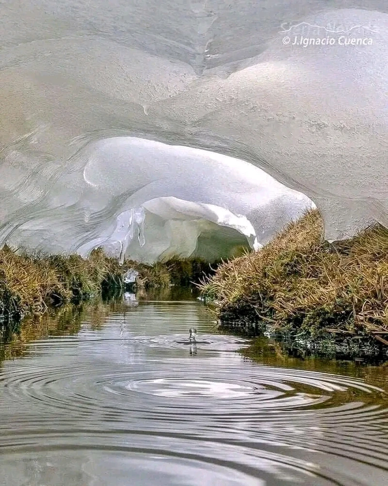 GIF ajouté par Stef