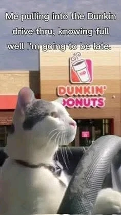 GIF uploaded by Dominic