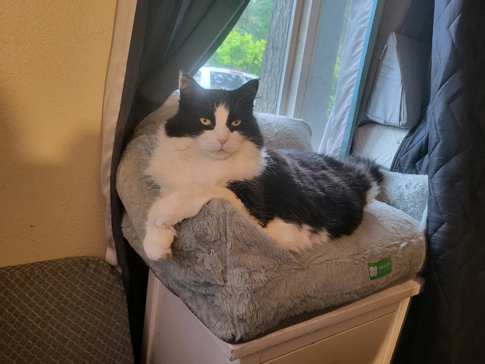 GIF uploaded by Dylan