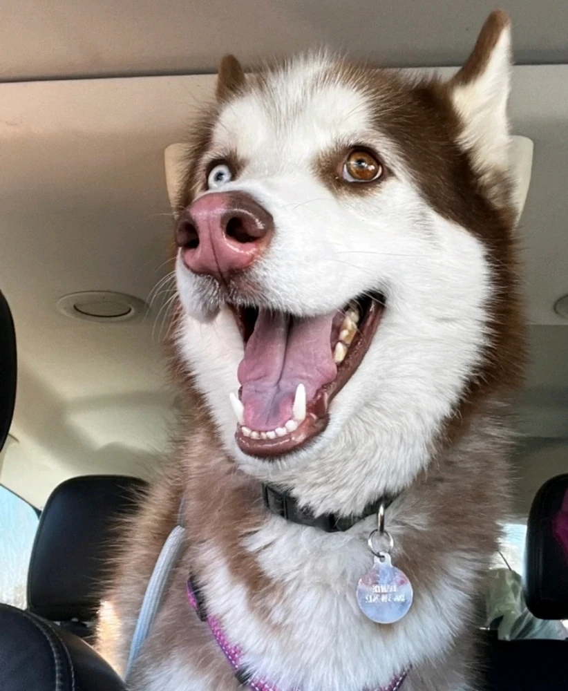 GIF diunggah dening Kay