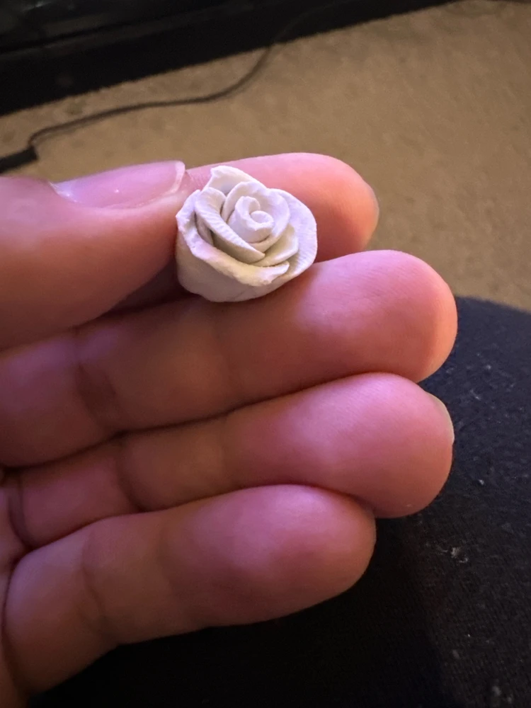 Image uploaded by Steve