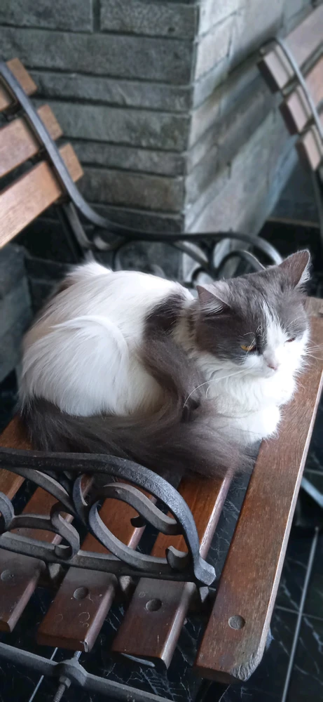 GIF diunggah oleh Yudha