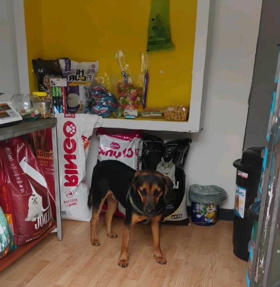 GIF subido por Milvy