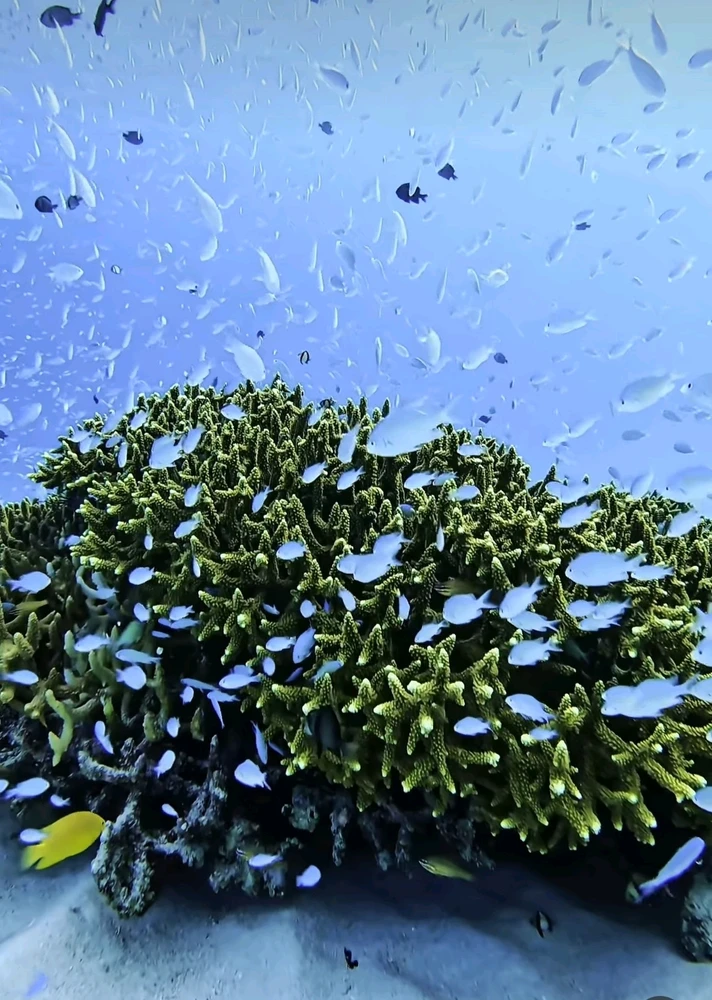 Immagine caricata da Cinzia