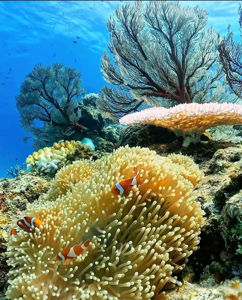 Immagine caricata da Cinzia