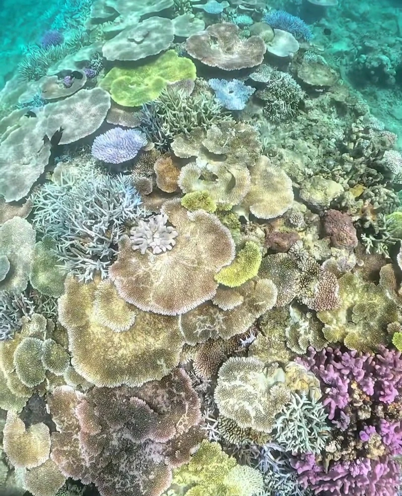 Immagine caricata da Cinzia