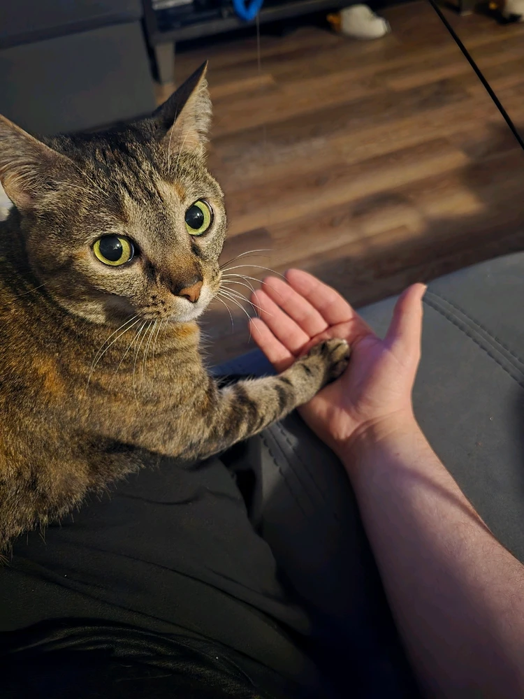 GIF uploaded by Izaya