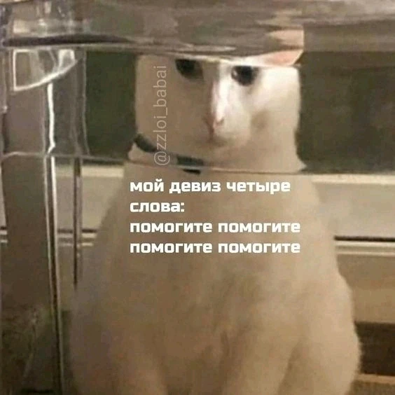 GIF загрузил Настя