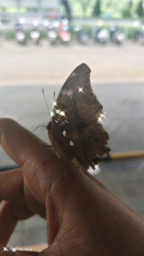 GIF diunggah oleh B S