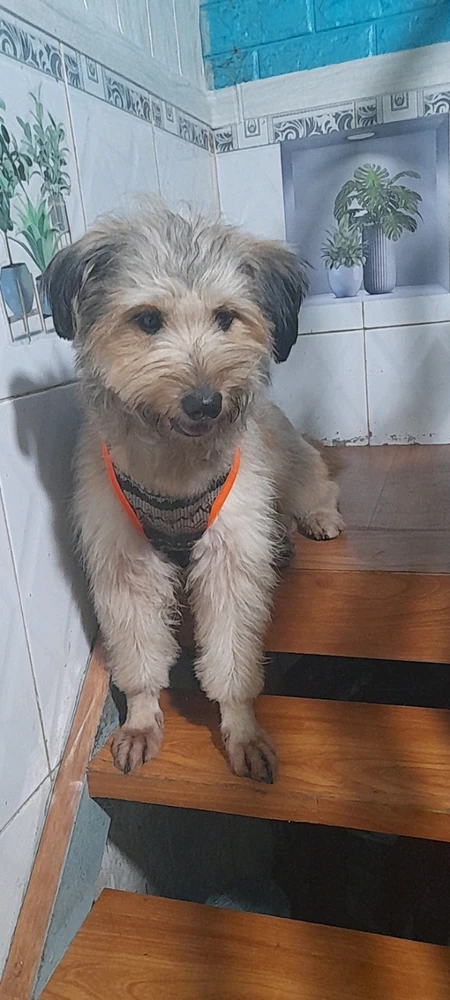 GIF được July huỳnh tải lên