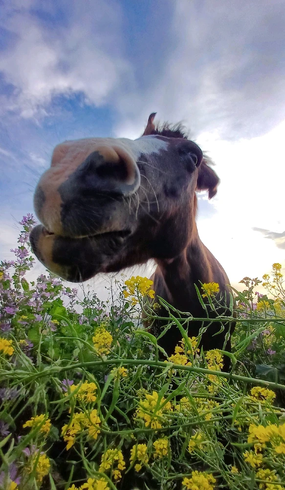 GIF hochgeladen von Burak