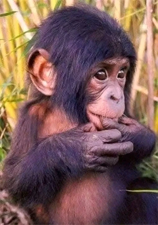 Image ajoutée par Stef