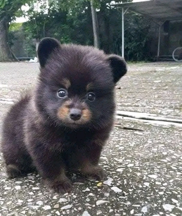 Image ajoutée par Stef