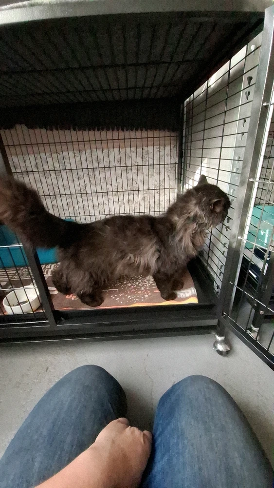 Obrázek nahrál Nora