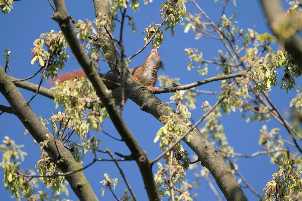 Bild hochgeladen von Philip