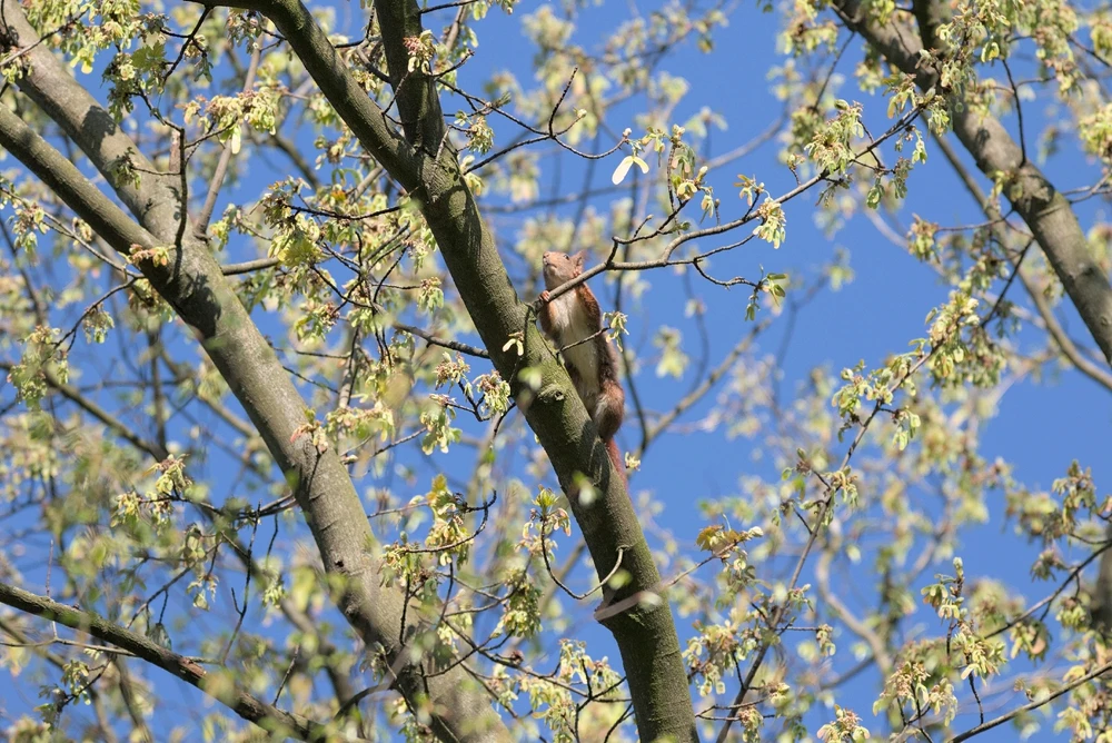Bild hochgeladen von Philip