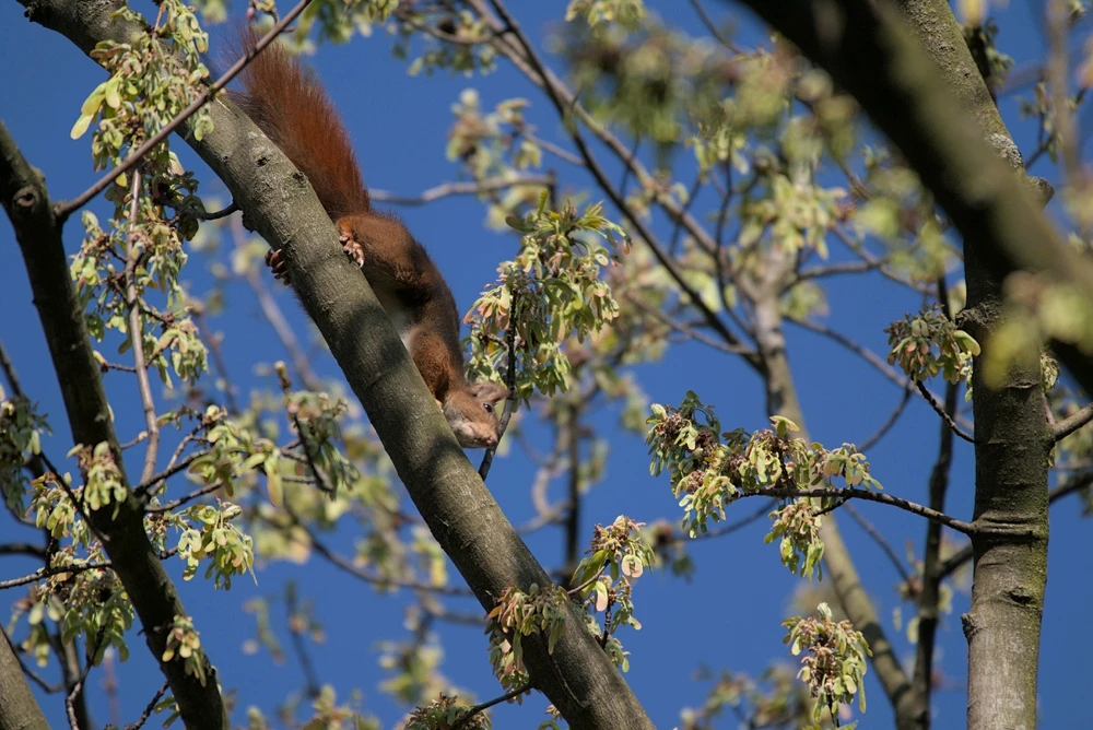 Bild hochgeladen von Philip