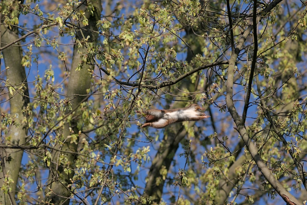 Bild hochgeladen von Philip