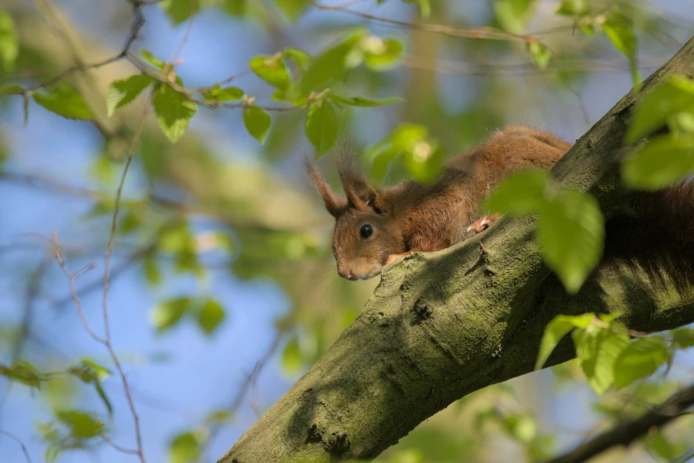 Bild hochgeladen von Philip